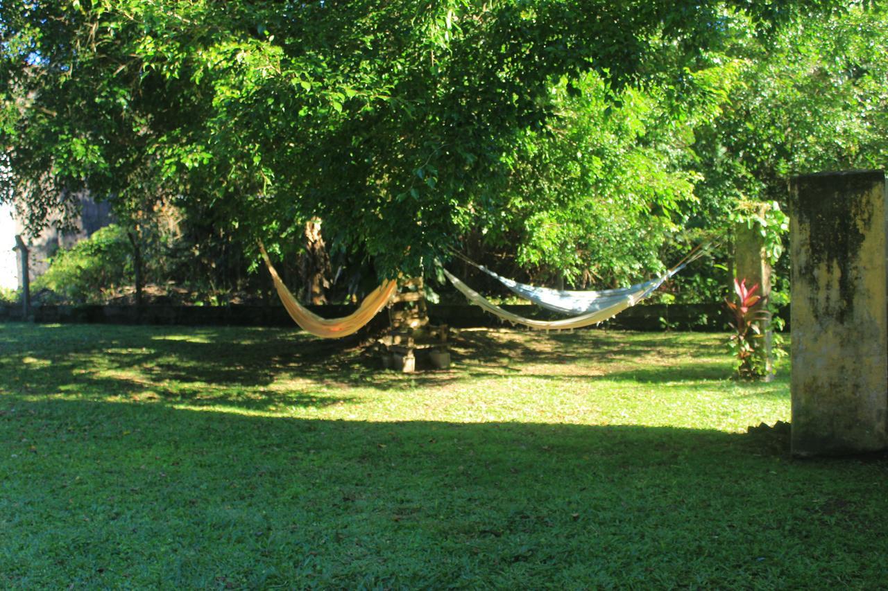 Junglez Eco Hostel Guarau Exterior photo